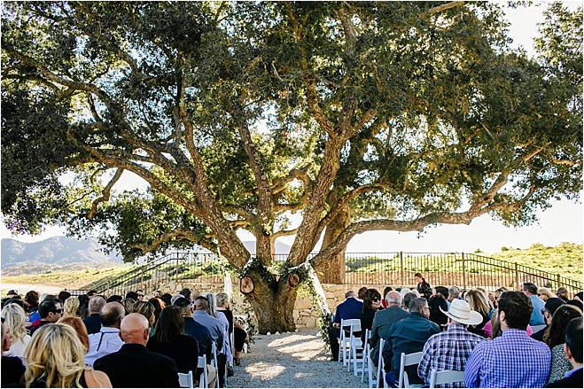 california wedding, california wedding venue, wedding inspiration, wedding photography, reception inspiration, ceremony inspiration, california wedding venue, venue tour, winery wedding, vineyard wedding, bride and groom