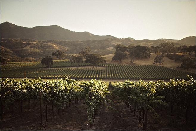 california wedding, california wedding venue, wedding inspiration, wedding photography, reception inspiration, ceremony inspiration, california wedding venue, venue tour, winery wedding, vineyard wedding, bride and groom