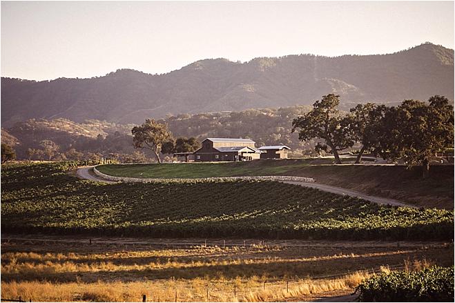 california wedding, california wedding venue, wedding inspiration, wedding photography, reception inspiration, ceremony inspiration, california wedding venue, venue tour, winery wedding, vineyard wedding, bride and groom