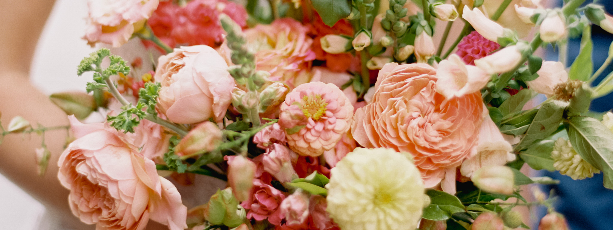 Olympic Sculpture Park Wedding Concept