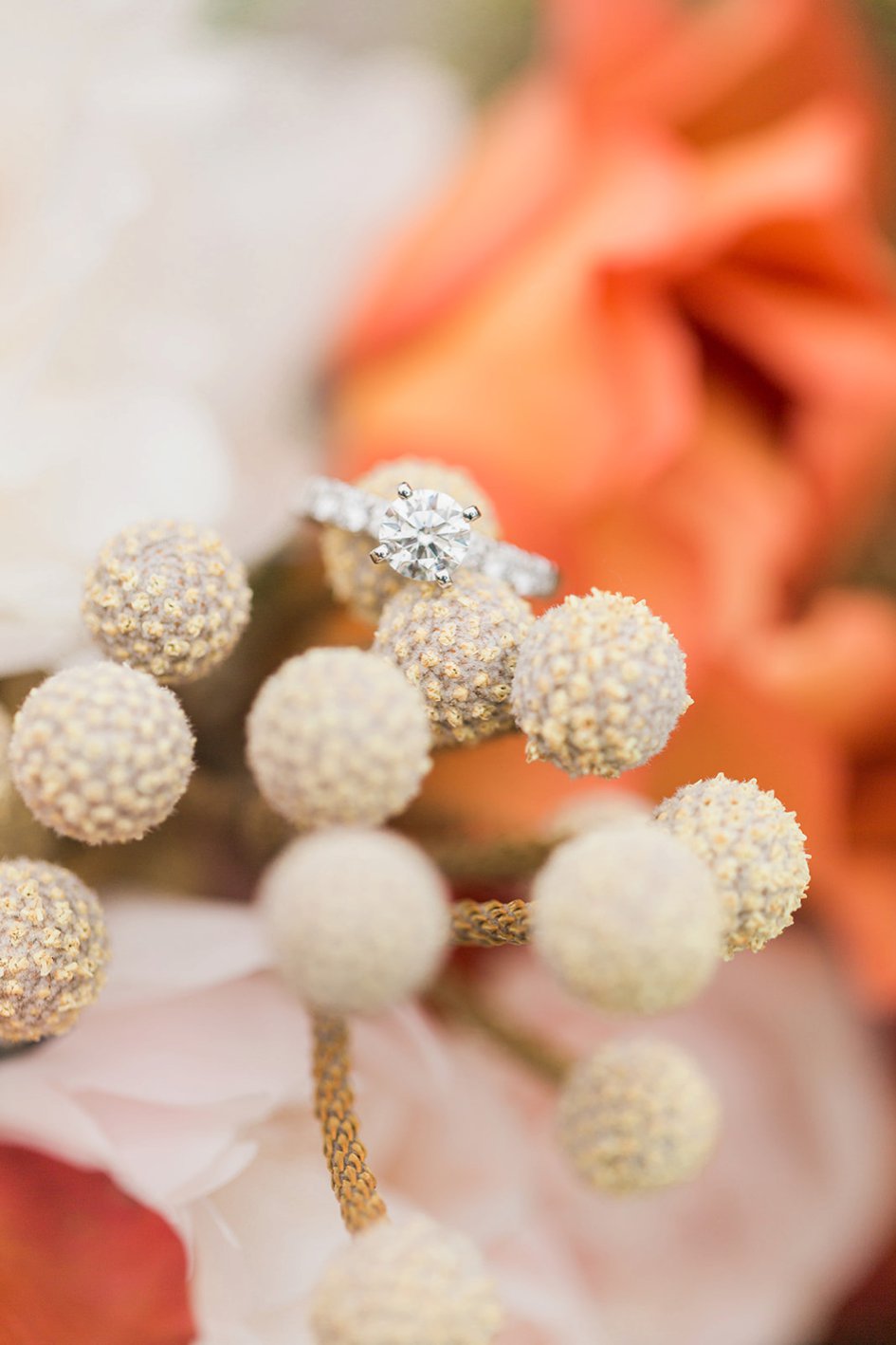 Casey and Tayelor: Styled Shoot-Turned Proposal at Klode Park Beach