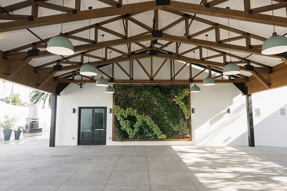 Holly Sigafoos _ The Colony House