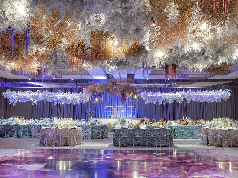 Jacqui Cole Photography