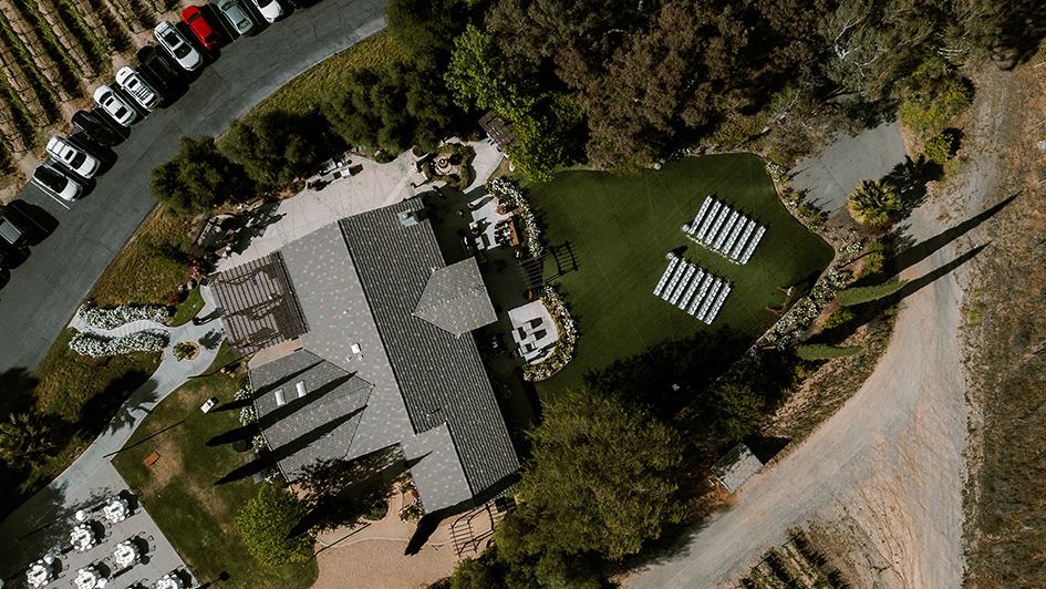 Pamela Tatz Photography