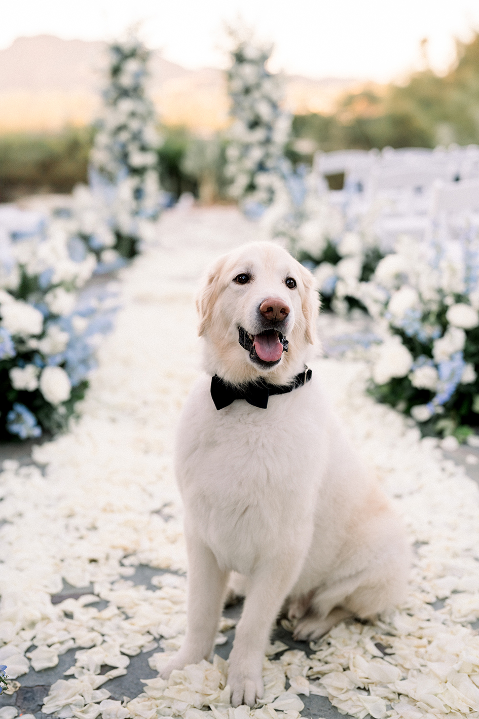 Photo by Brittany Nemic with Your Jubilee Weddings