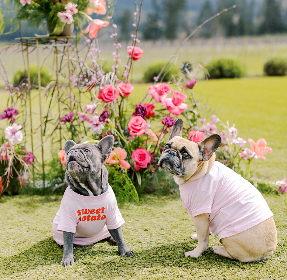 Simple Joie Photography