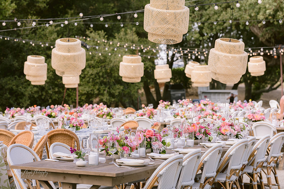 Ally Magda Photography