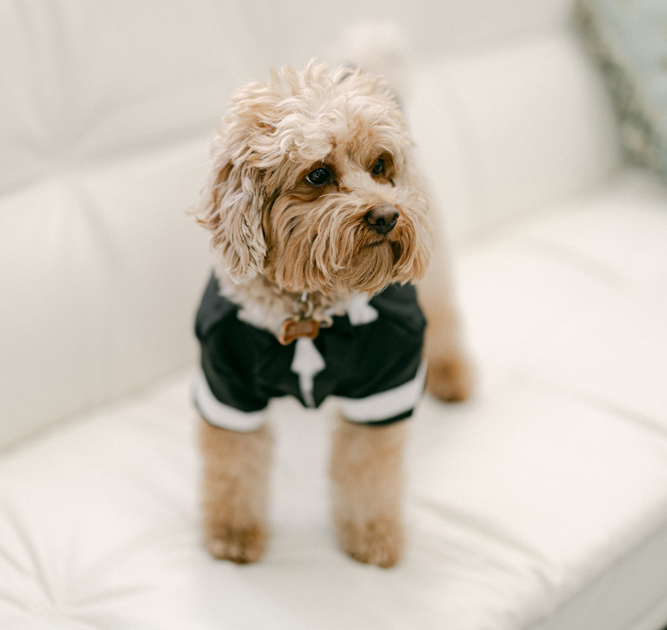 Brett Munoz Photography 