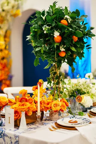 Into Dust Photography with Seattle Stunning Events