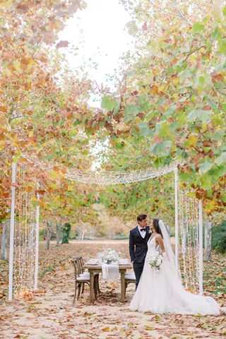 Danielle Bacon Photography 