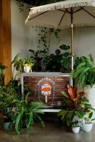 Sloshy Pop stand accented by greenery in imagined wedding day 