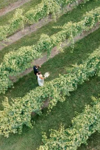 Aerial view of bride and groom walking through the grounds of  7 Vines Vineyard
