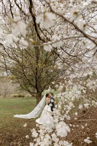 Bride and groom share a kiss framed by natural blossoms