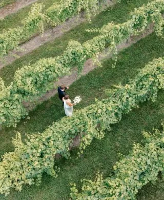 Aerial view of bride and groom walking through the grounds of  7 Vines Vineyard