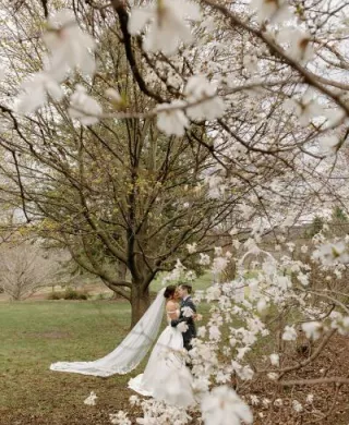 Bride and groom share a kiss framed by natural blossoms