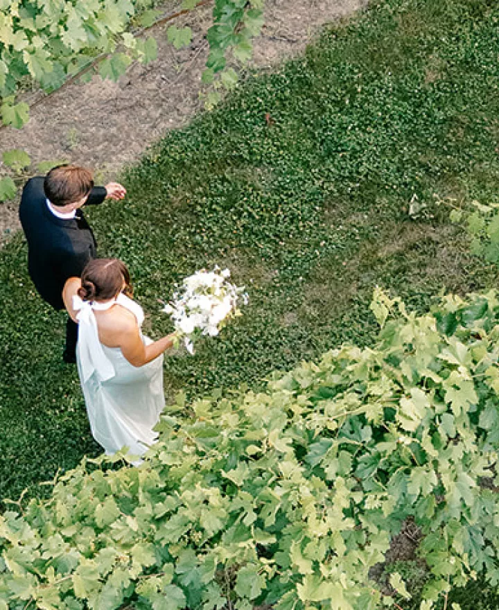 Aerial view of bride and groom walking through the grounds of  7 Vines Vineyard