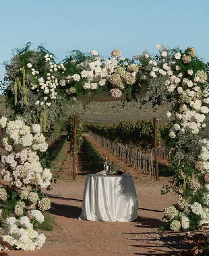 Lush chuppah sits on grounds of Los Milics Vineyards in outdoor ceremony