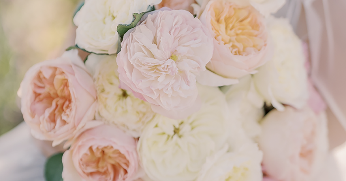 Image Alt Text
