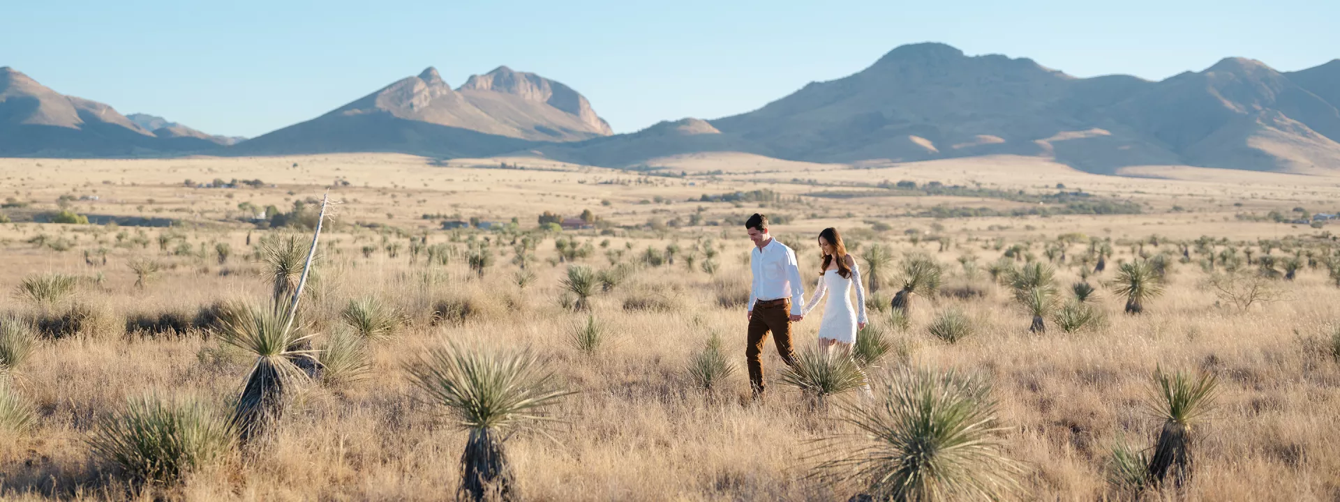 Craig Peterman Photography & Videography