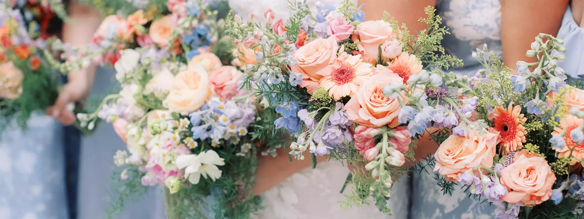 Laura Elizabeth Photography + Films