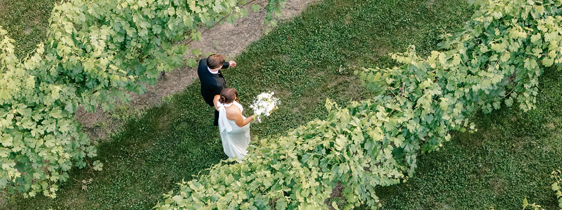Aerial view of bride and groom walking through the grounds of  7 Vines Vineyard