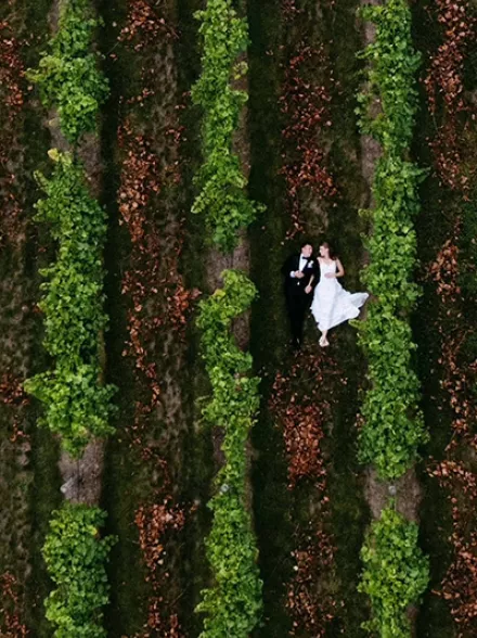 Wild Trail Studio courtesy of 7 Vines Vineyard