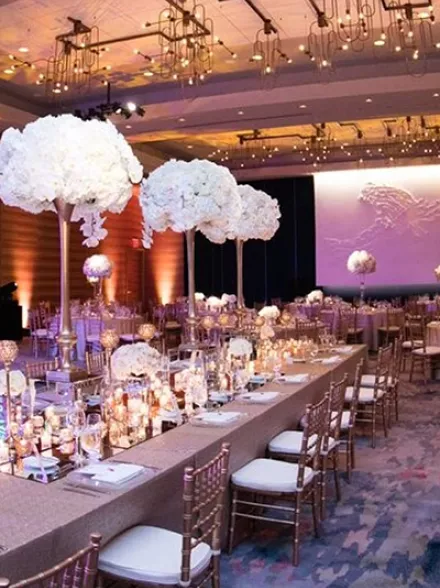 The Lofton Hotel Minneapolis