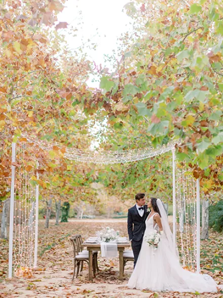 Danielle Bacon Photography 