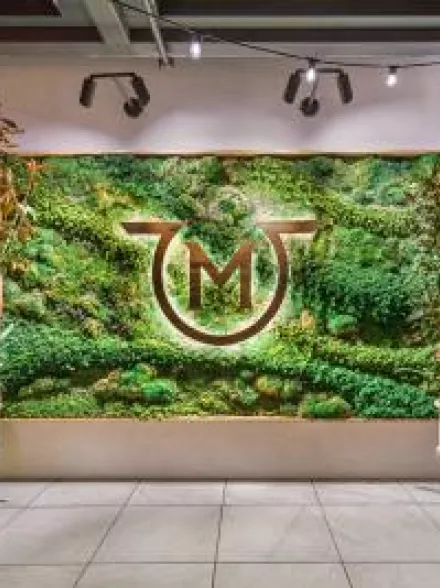 Verdant entryway with lush greenery and floral accents at the entrance of The Garden at The Penthouse in Beverly Hills.